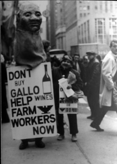 (3688) Gallo Boycott, demonstration (3688) Gallo Boycott, demonstration